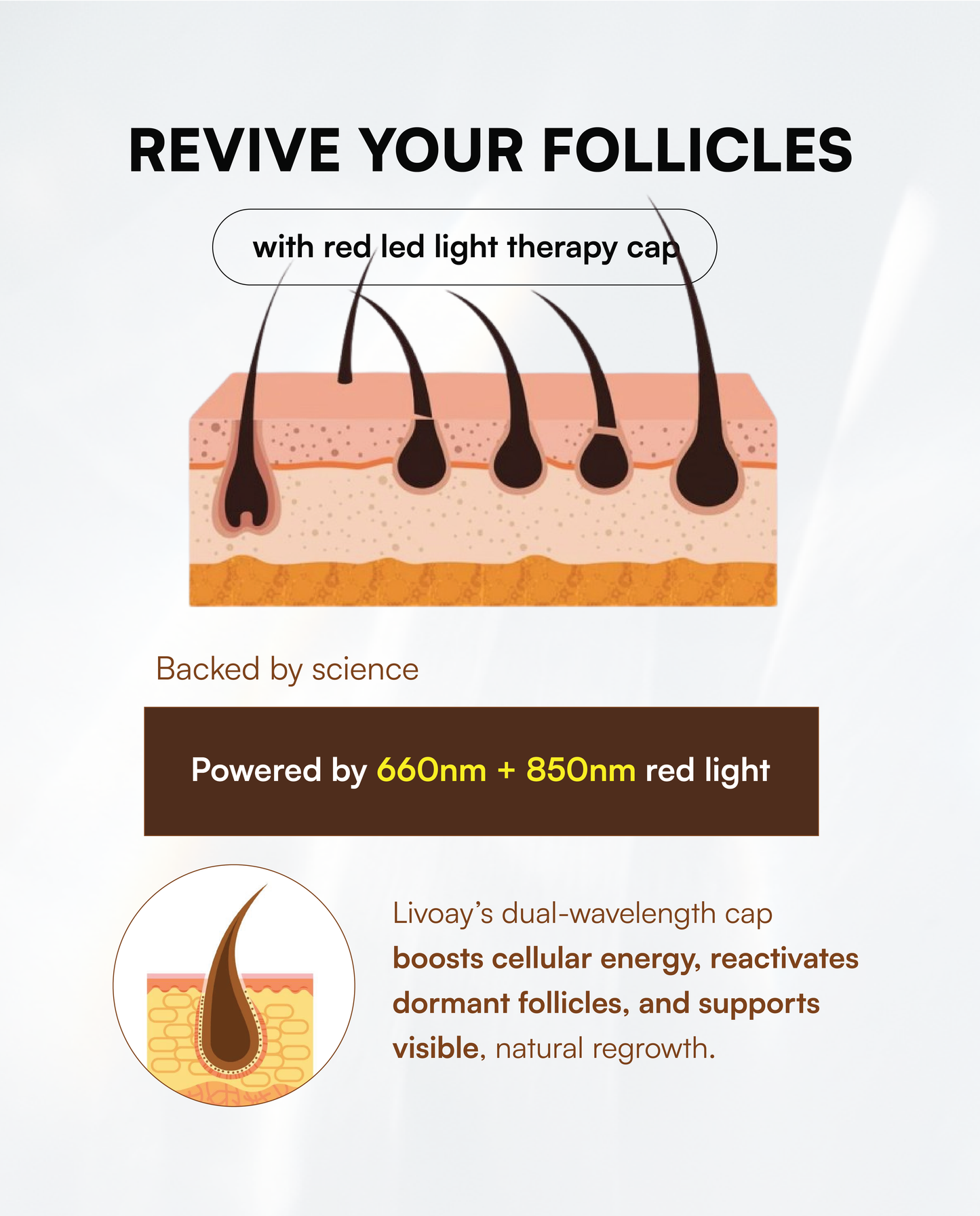 ✨ Livoay Halo Radiant Cap Pre-Order